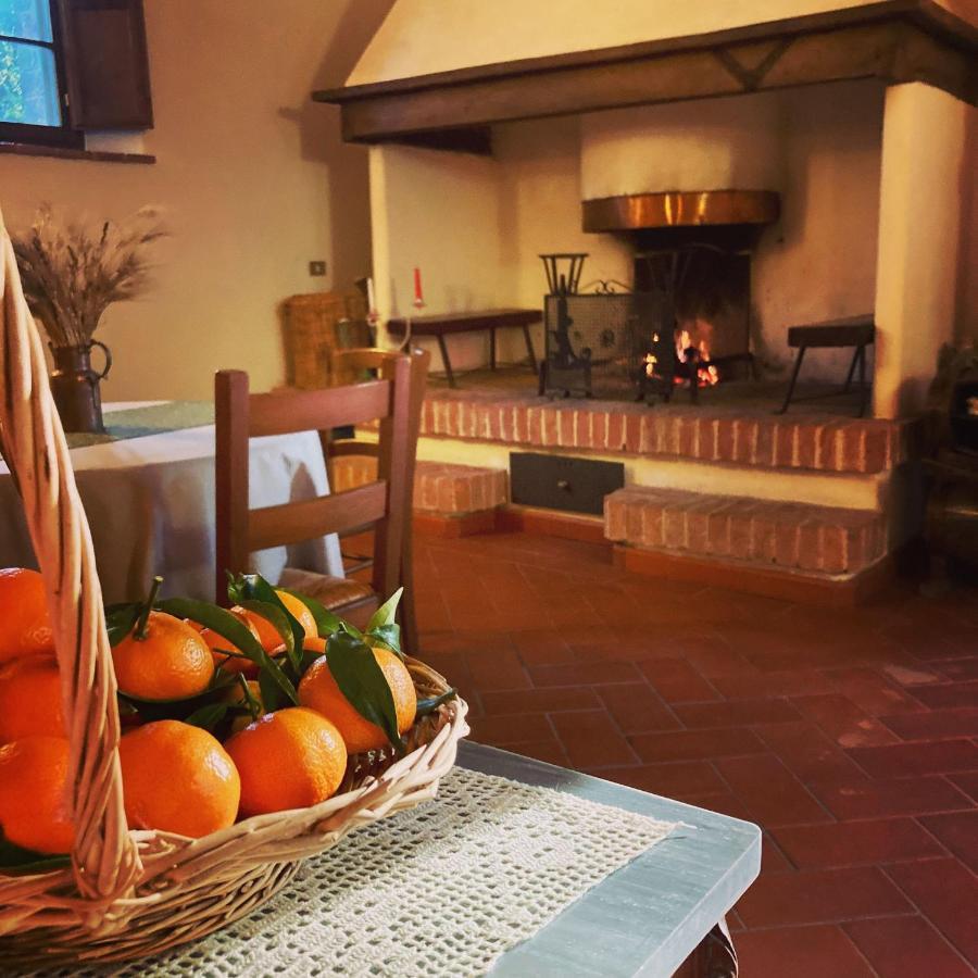 Podere La Chiusella B&B Раполано-Терме Экстерьер фото