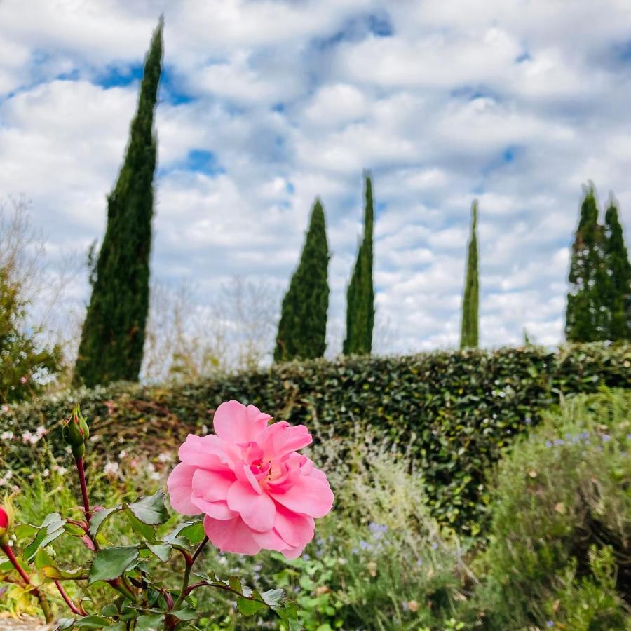 Podere La Chiusella B&B Раполано-Терме Экстерьер фото