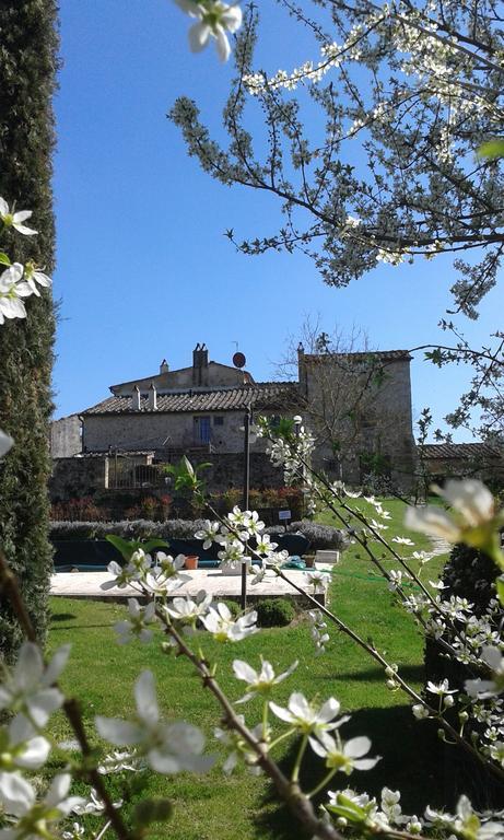 Podere La Chiusella B&B Раполано-Терме Экстерьер фото